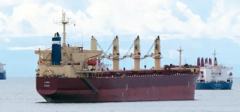 LARUS Bulk Carrier IMO 9241346 photo 10