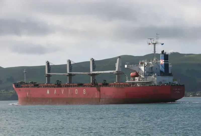 TOROS M Bulk Carrier IMO 9241358 photo 2