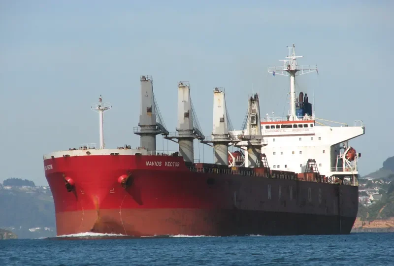 TOROS M Bulk Carrier IMO 9241358 photo 3