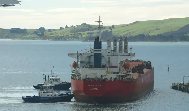 TOROS M Bulk Carrier IMO 9241358 photo 6