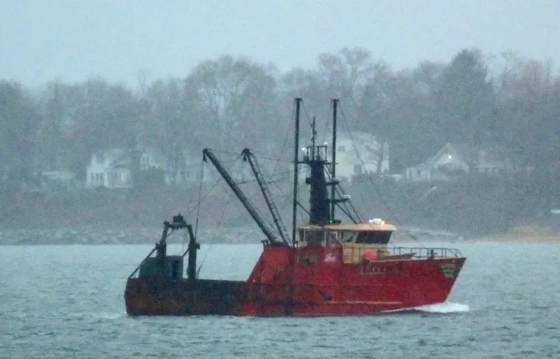 FREEDOM General Cargo IMO 9241437 photo 2
