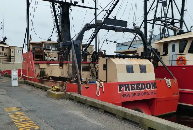 FREEDOM General Cargo IMO 9241437 photo 5