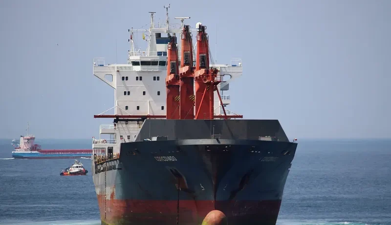 CORCOVADO III Container Ship IMO 9241463 photo 5