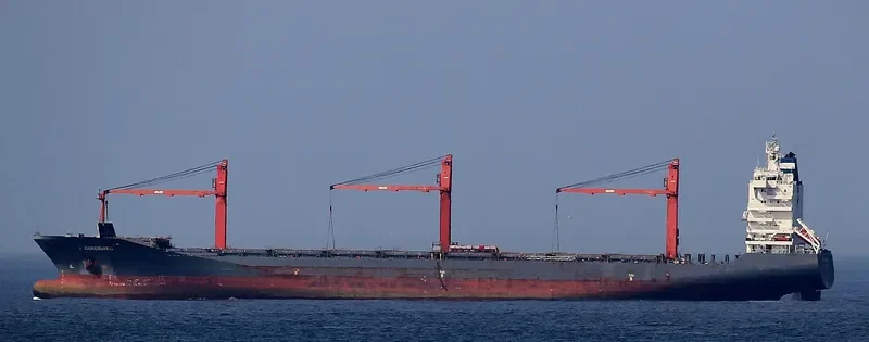 CORCOVADO III Container Ship IMO 9241463 photo 6