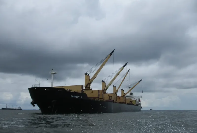 HELENA Bulk Carrier IMO 9241504