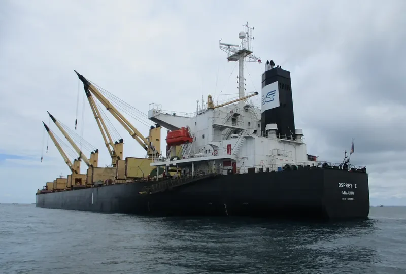 HELENA Bulk Carrier IMO 9241504 photo 2