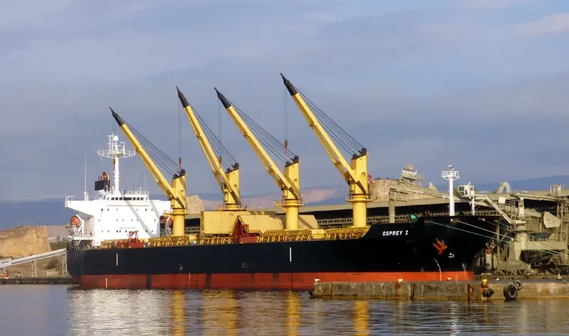HELENA Bulk Carrier IMO 9241504 photo 3