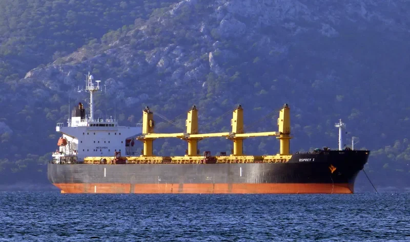 HELENA Bulk Carrier IMO 9241504 photo 4