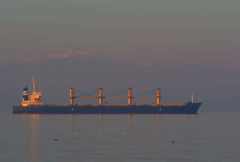 HELENA Bulk Carrier IMO 9241504 photo 5