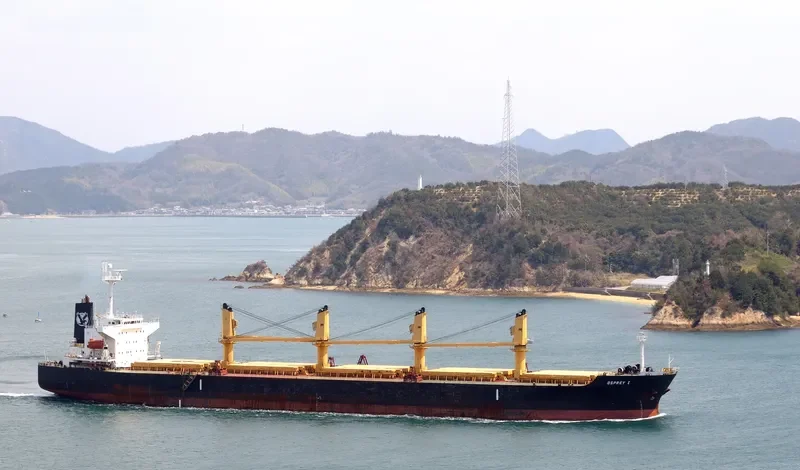 HELENA Bulk Carrier IMO 9241504 photo 8
