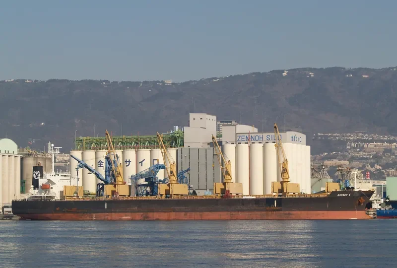 HELENA Bulk Carrier IMO 9241504 photo 9