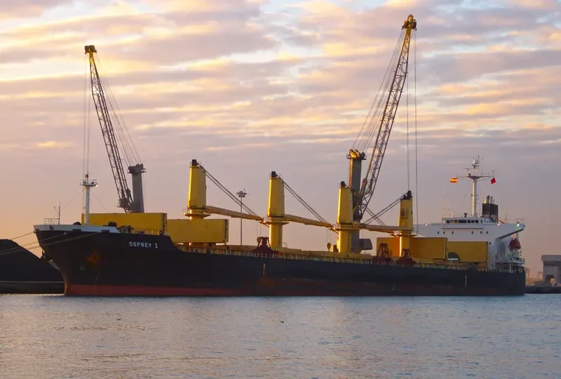 HELENA Bulk Carrier IMO 9241504 photo 10
