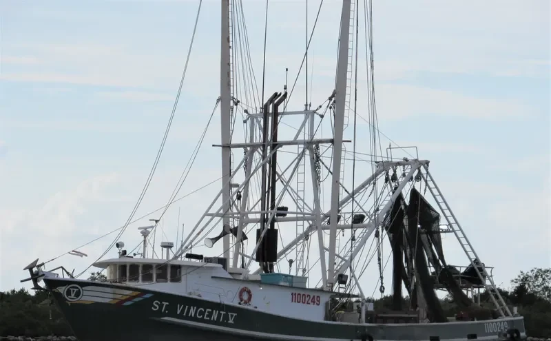 ST.VINCENT V General Cargo IMO 9241580