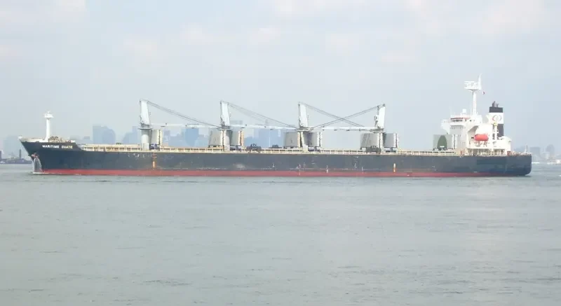 MULTAN Bulk Carrier IMO 9241671 photo 7