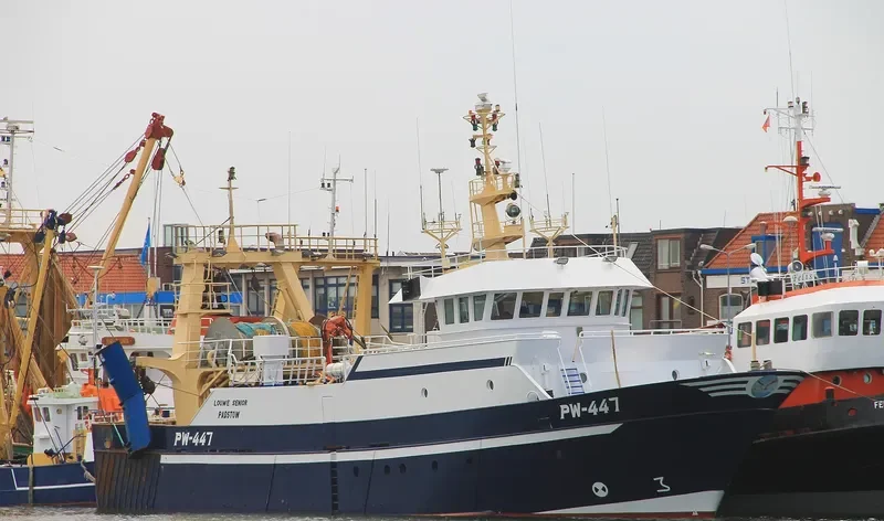 LOUWE SENIOR General Cargo IMO 9242003 photo 8