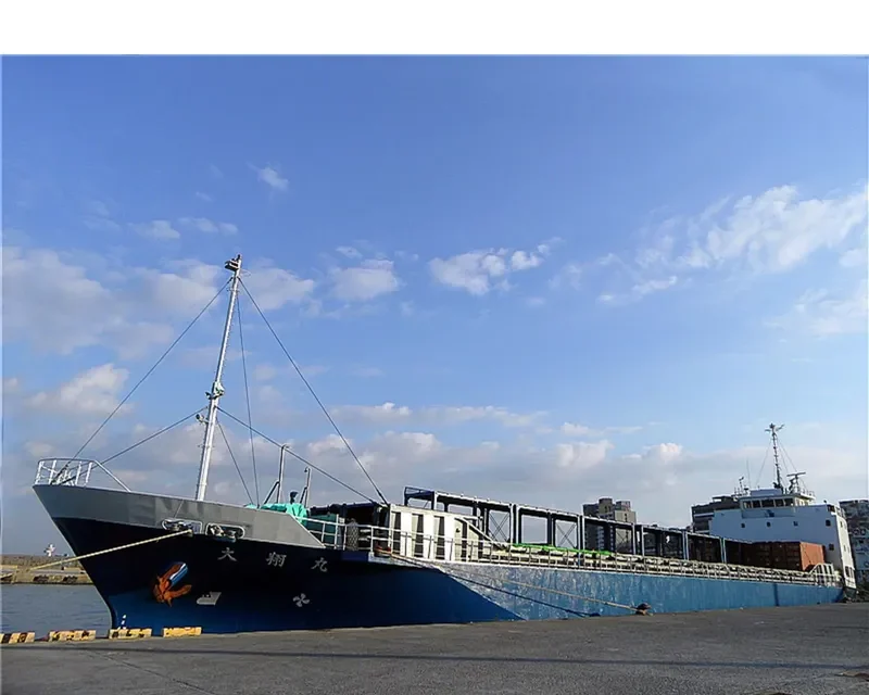 TAISHO MARU General Cargo IMO 9242405 photo 5