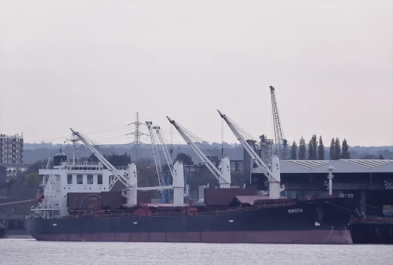 HI 03 Bulk Carrier IMO 9242508