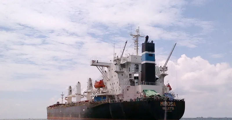 HI 03 Bulk Carrier IMO 9242508 photo 2