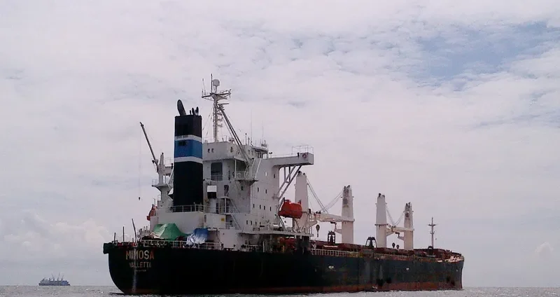 HI 03 Bulk Carrier IMO 9242508 photo 3