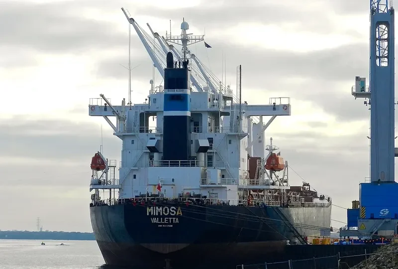 HI 03 Bulk Carrier IMO 9242508 photo 4