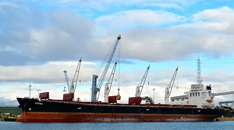 HI 03 Bulk Carrier IMO 9242508 photo 5