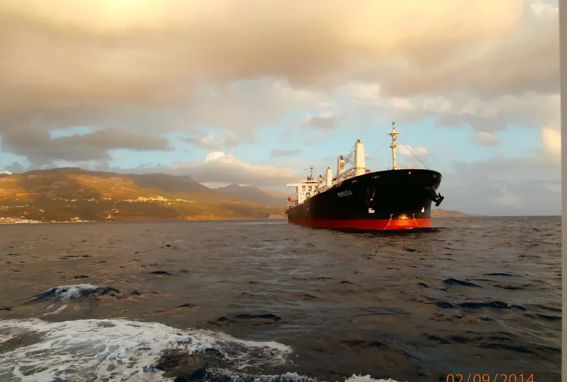 HI 03 Bulk Carrier IMO 9242508 photo 7