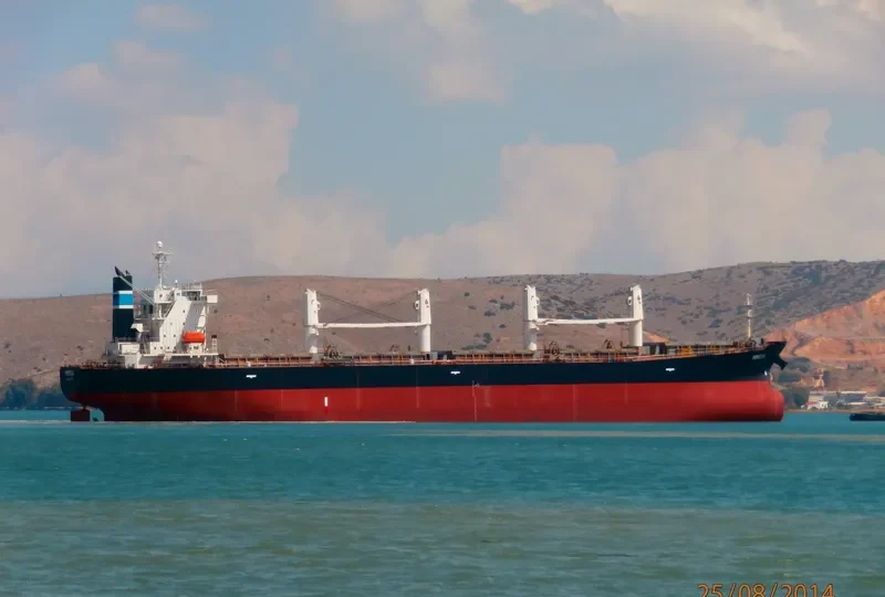 HI 03 Bulk Carrier IMO 9242508 photo 8