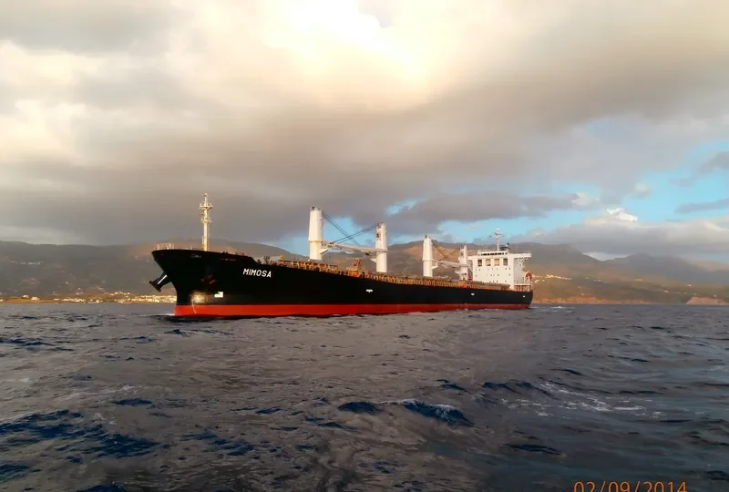 HI 03 Bulk Carrier IMO 9242508 photo 9