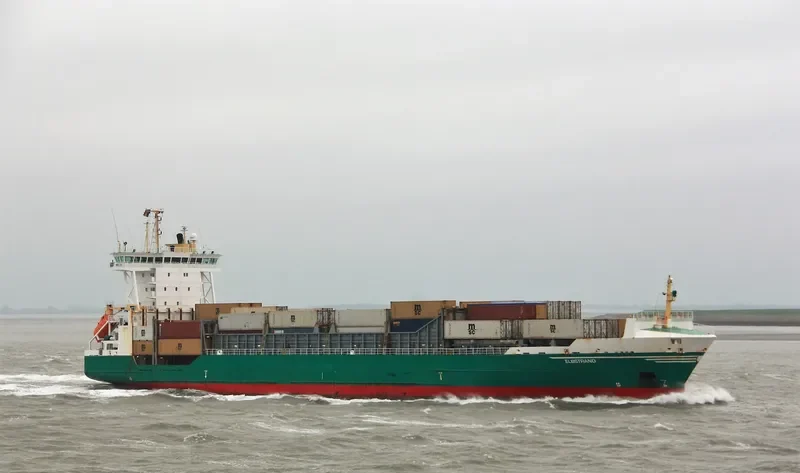 ELBSTRAND Container Ship IMO 9242560 photo 3