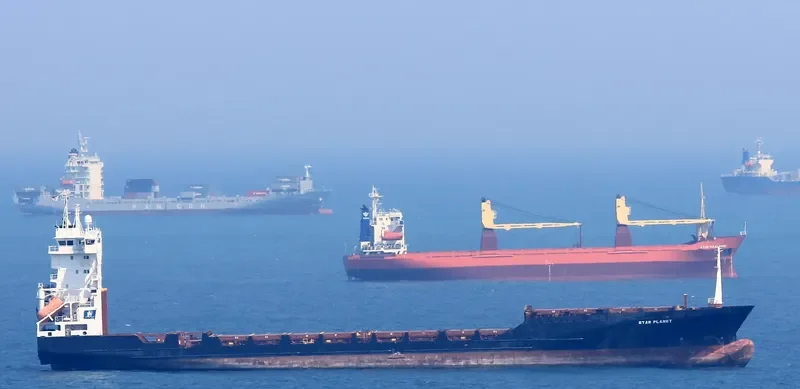 HARBOUR HORIZON Container Ship IMO 9242613