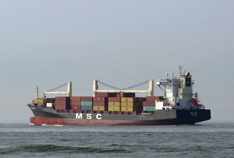 MSC AMY Container Ship IMO 9242651