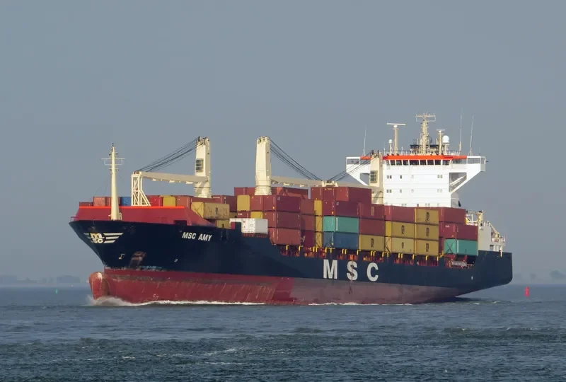 MSC AMY Container Ship IMO 9242651 photo 3