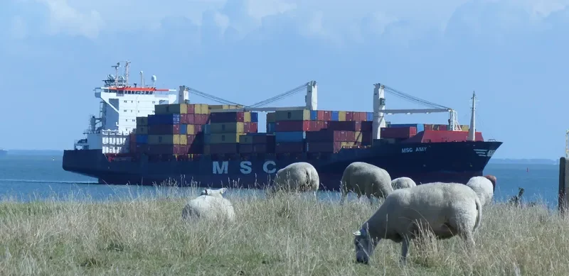MSC AMY Container Ship IMO 9242651 photo 6