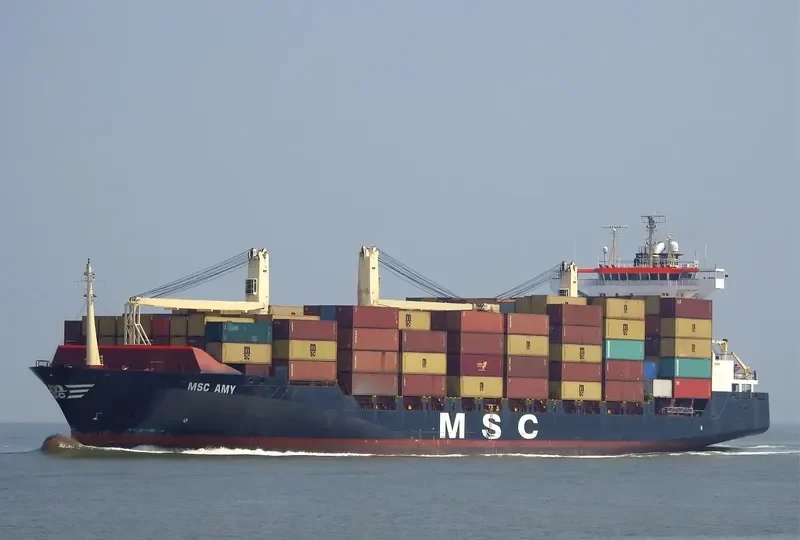 MSC AMY Container Ship IMO 9242651 photo 8