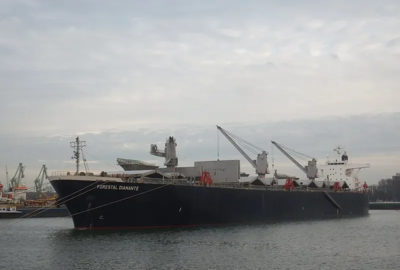 FORESTAL DIAMANTE Bulk Carrier IMO 9242699