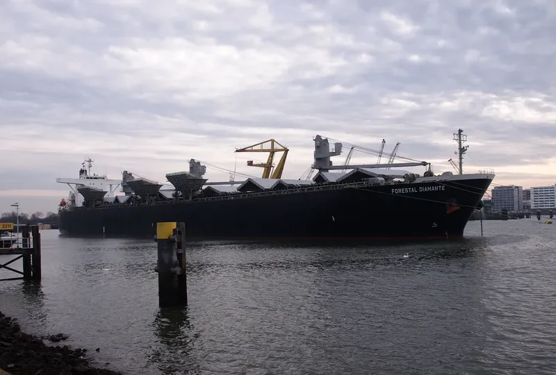 FORESTAL DIAMANTE Bulk Carrier IMO 9242699 photo 4