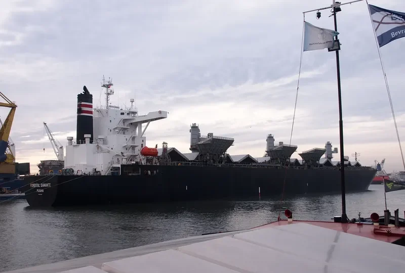 FORESTAL DIAMANTE Bulk Carrier IMO 9242699 photo 5