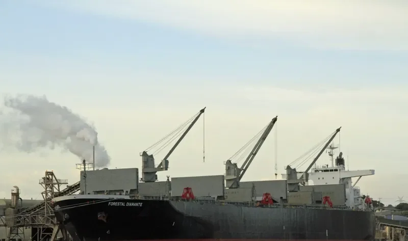 FORESTAL DIAMANTE Bulk Carrier IMO 9242699 photo 9