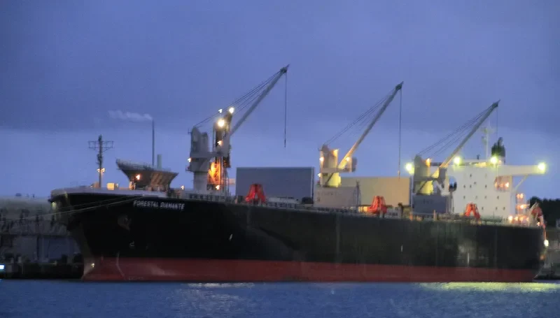 FORESTAL DIAMANTE Bulk Carrier IMO 9242699 photo 10