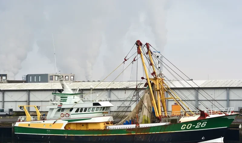 ARENDJAN General Cargo IMO 9242742 photo 10