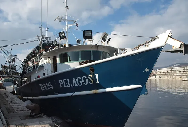 PELAGOS I General Cargo IMO 9242821 photo 2
