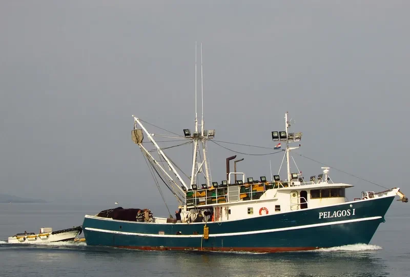 PELAGOS I General Cargo IMO 9242821 photo 5
