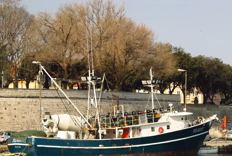 PELAGOS I General Cargo IMO 9242821 photo 6