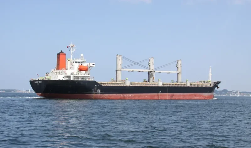PACIFIC VENUS Bulk Carrier IMO 9243253
