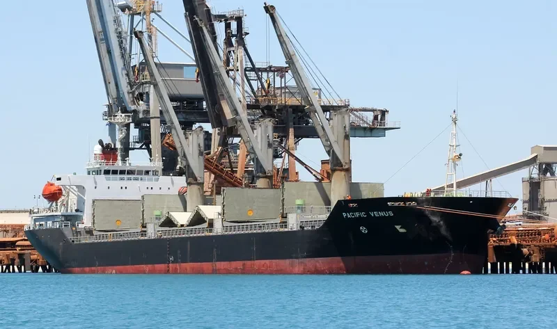 PACIFIC VENUS Bulk Carrier IMO 9243253 photo 2