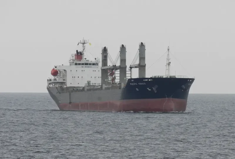 PACIFIC VENUS Bulk Carrier IMO 9243253 photo 3