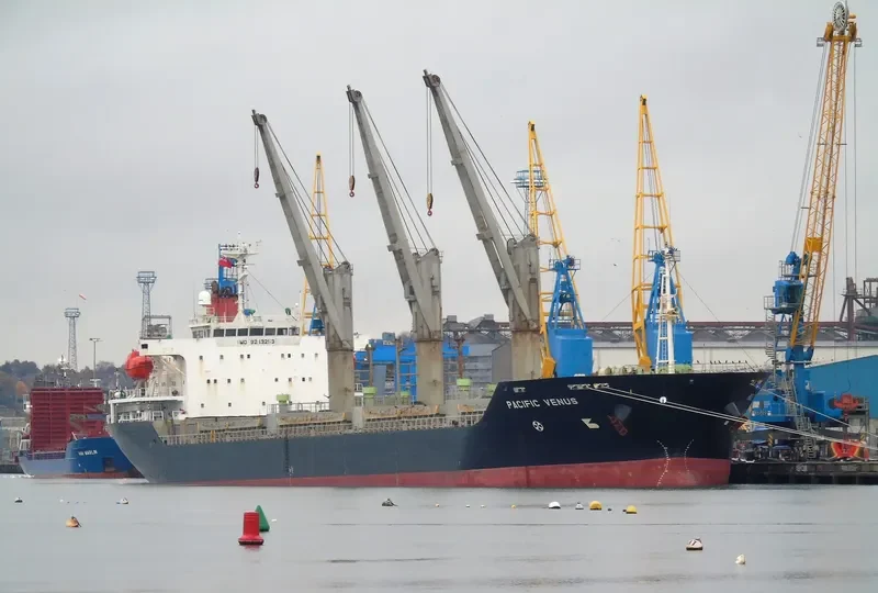 PACIFIC VENUS Bulk Carrier IMO 9243253 photo 4