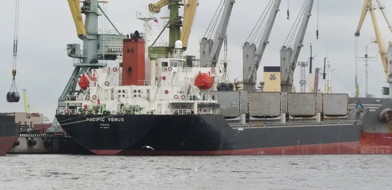 PACIFIC VENUS Bulk Carrier IMO 9243253 photo 5