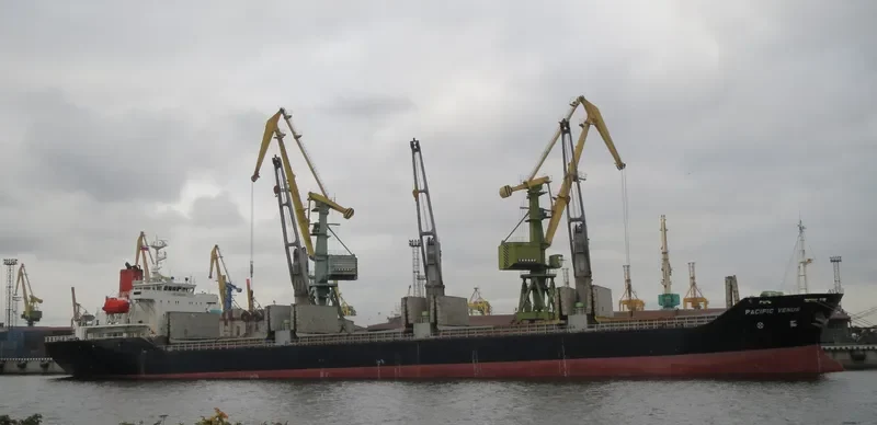 PACIFIC VENUS Bulk Carrier IMO 9243253 photo 6