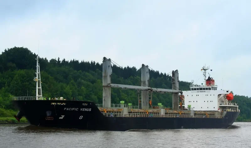 PACIFIC VENUS Bulk Carrier IMO 9243253 photo 7